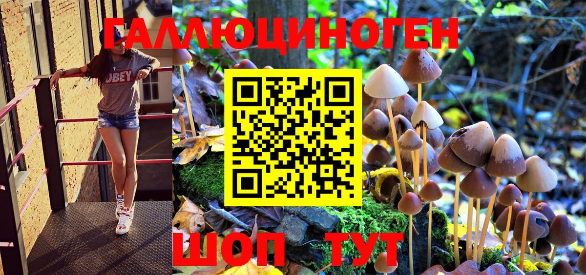 Галлюциногенные грибы GOLDEN TEACHER Заводоуковск